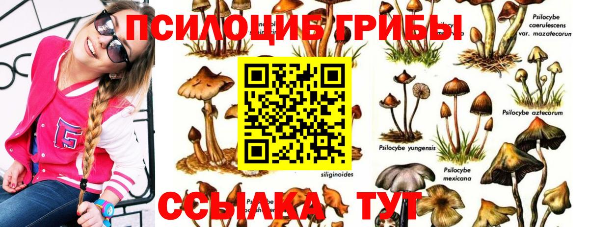 Галлюциногенные грибы мицелий  Вход с VPN  Егорьевск 
