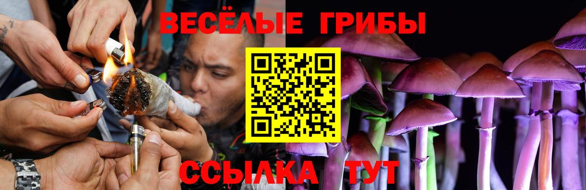 Галлюциногенные грибы Cubensis Егорьевск